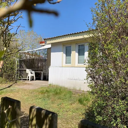 Tolles Ferienhaus In Mit Garten